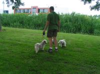 Klik op de foto voor groter formaat